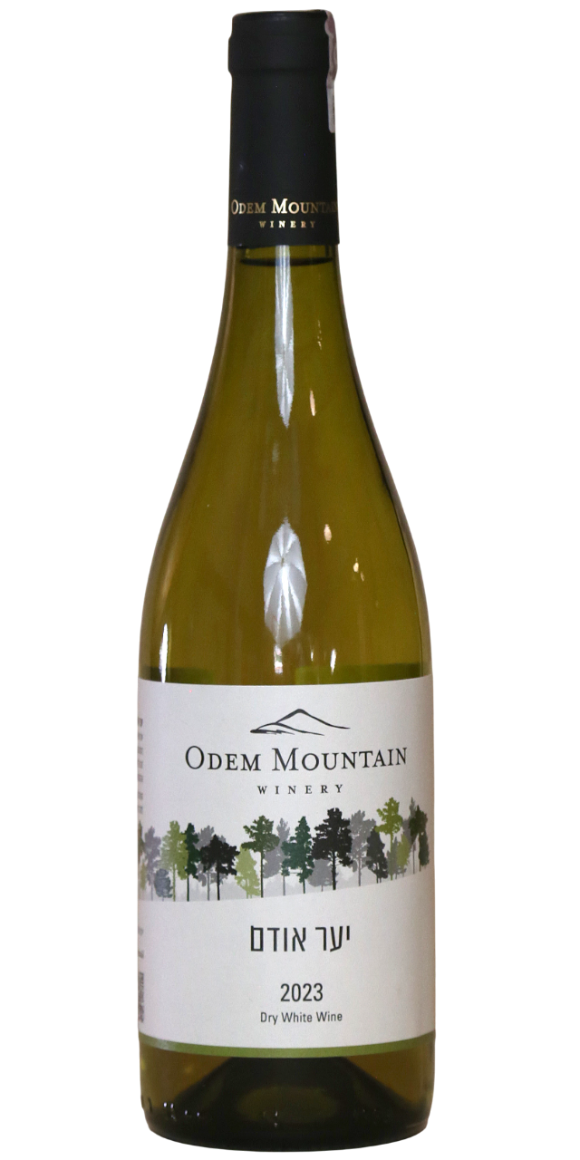 odem-forest-white-23 Logo Odem Mountain Odem Forest White Blend