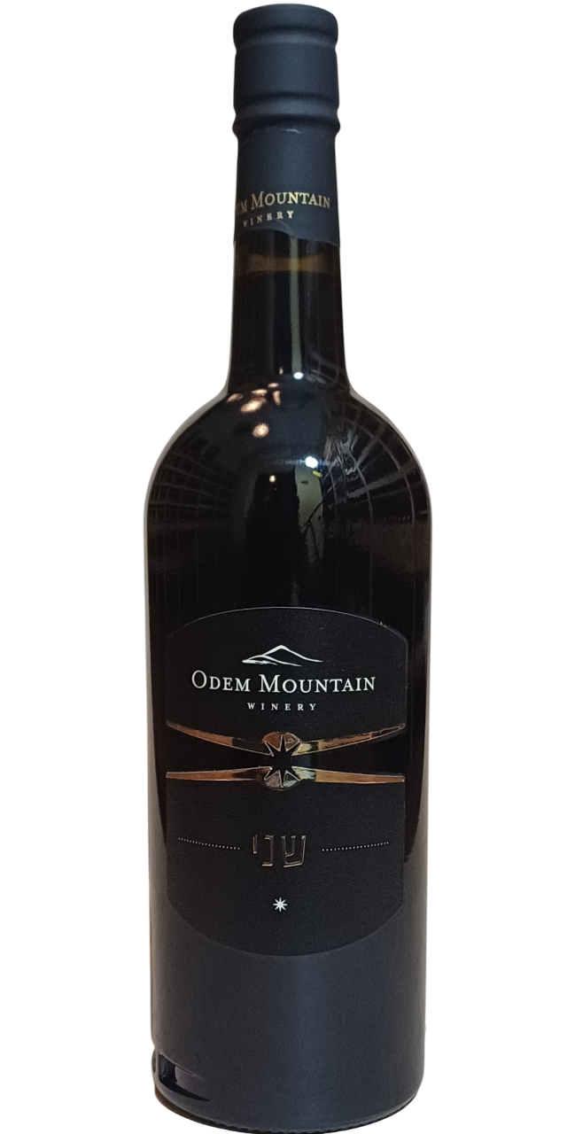 Logo Odem Mountain Shani