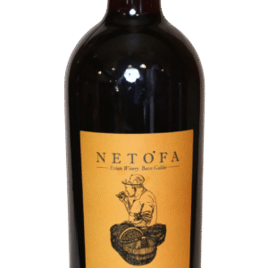 Ramat Negev The Southern Port